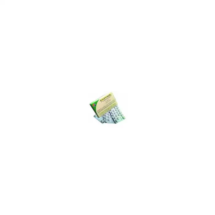ENZYSOL INTEG 60CPR 24G