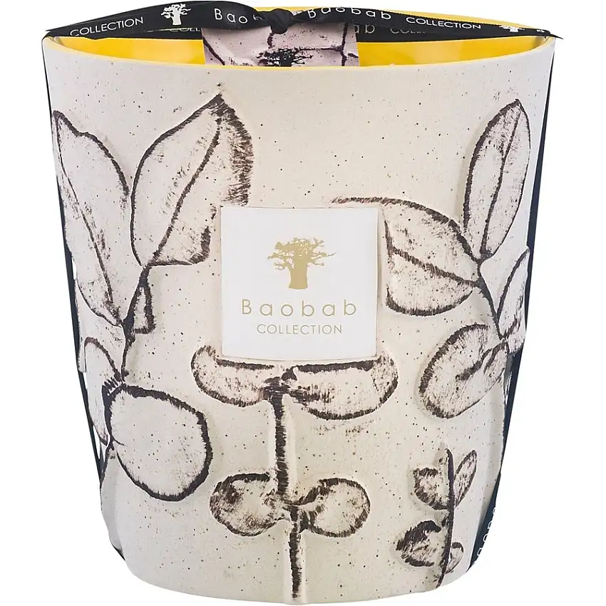 Baobab Candele profumate Candela profumata Folia Calanque