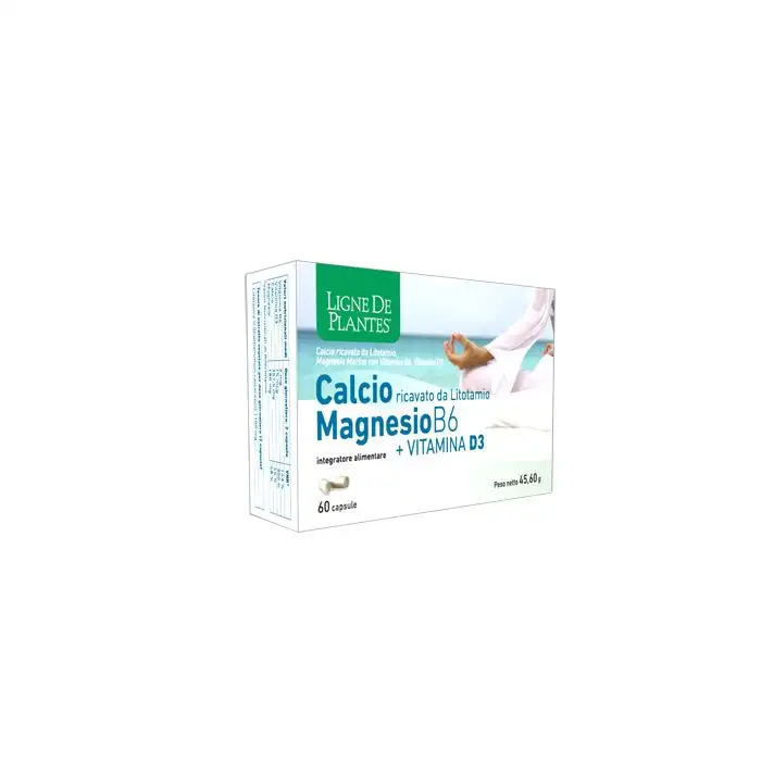 CALCIO/MG B6+Vit.D3 60 Cps NSE