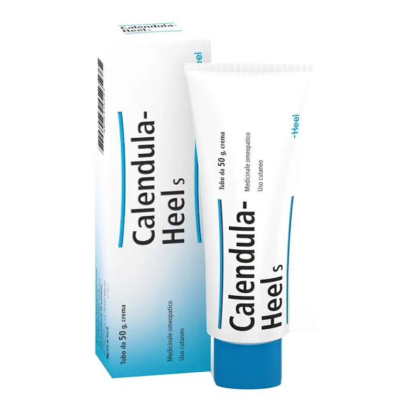HEEL CALENDULA SALBE POMATA M 50 G