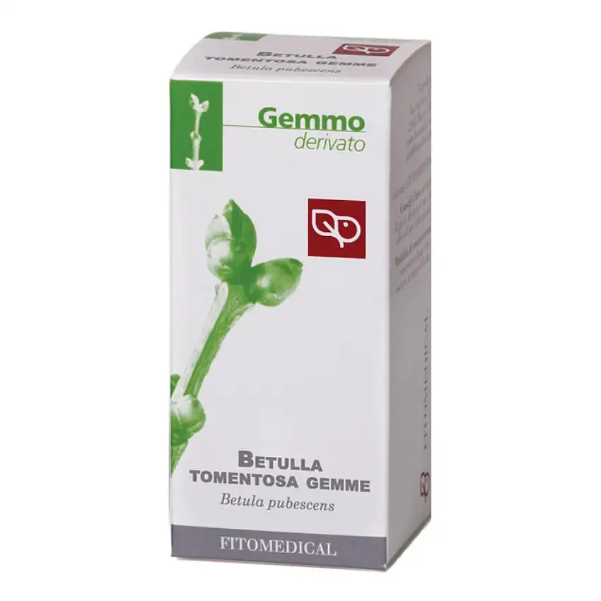 BETULLA PUBESCENS GEMME MACERATO GLICERICO 50 ML