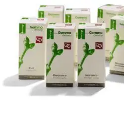 VITE VERGINE MACERATO GLICERICO 50 ML