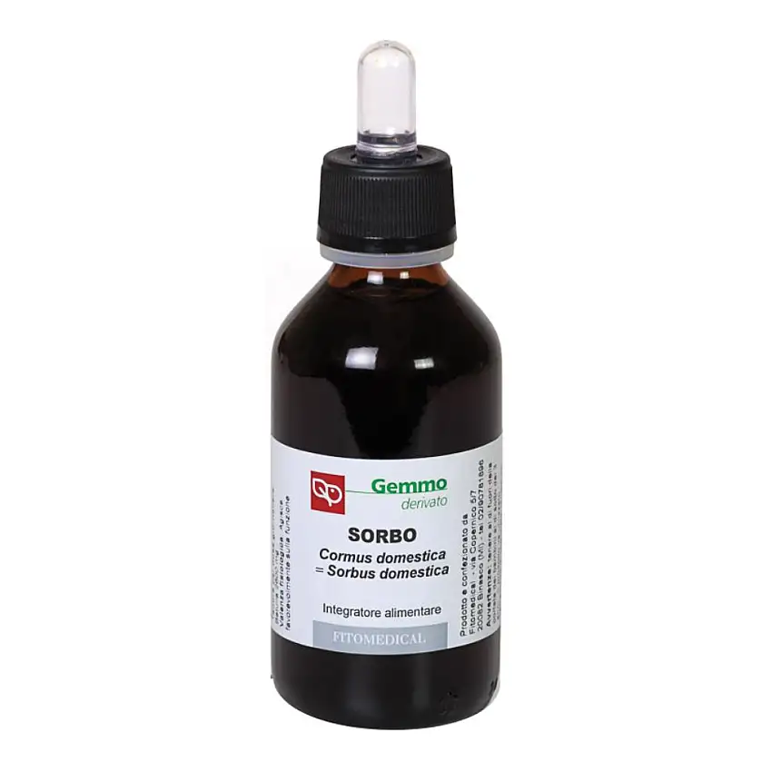 SORBO MACERATO GLICERICO 100 ML