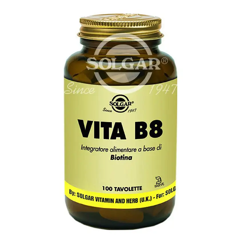 VITA B8 100 TAVOLETTE