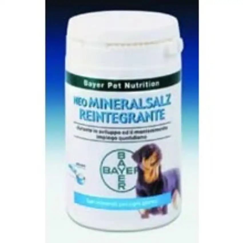NEO MINERALSALZ REINTEGRANTE 300 G