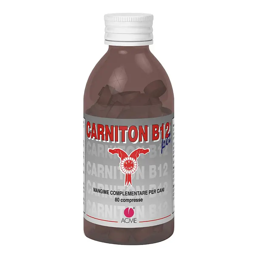 CARNITON B 12 80 COMPRESSE