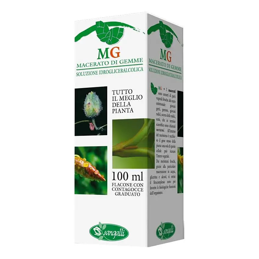 RIBES MACERATO GLICERICO 100 ML
