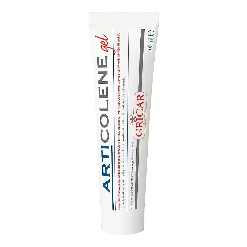 ARTICOLENE GEL 100 ML