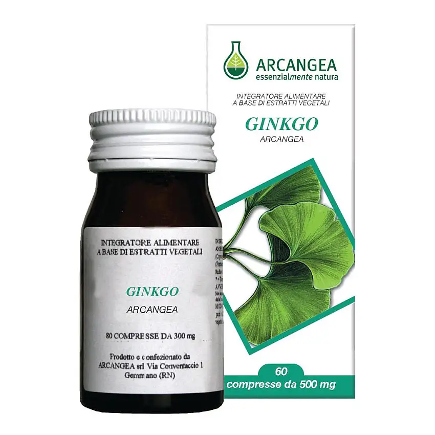 GINKGO BILOBA 60 CAPSULE 500 MG
