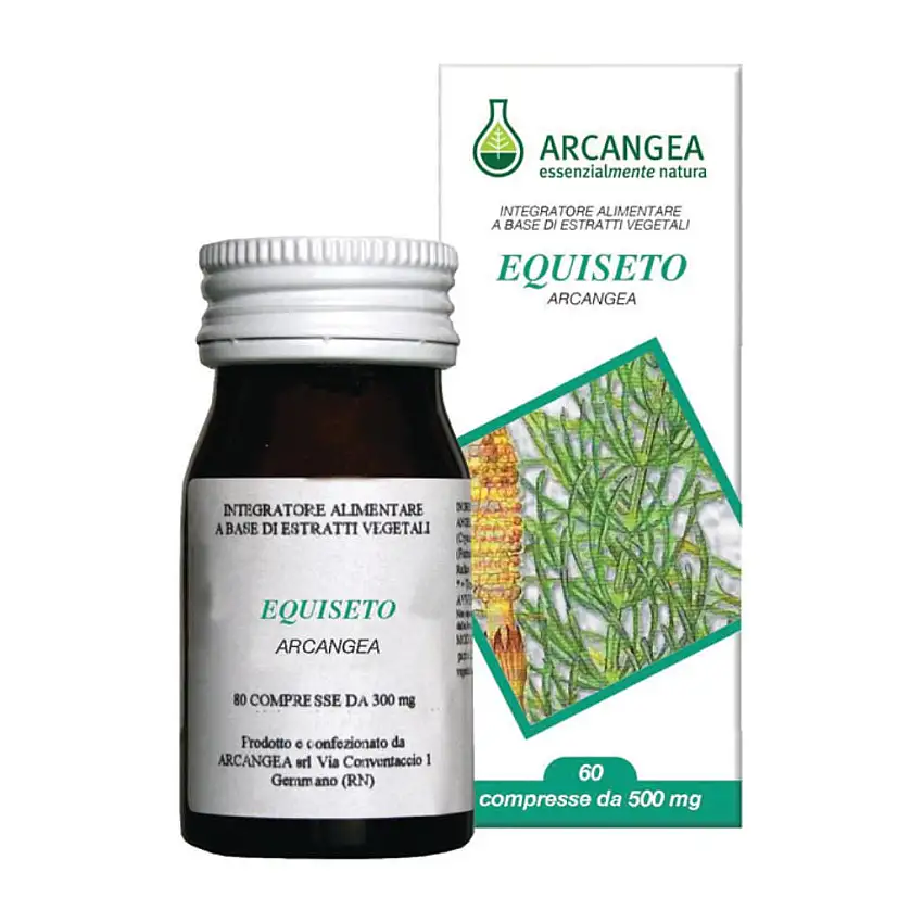 EQUISETO 60 CAPSULE 500 MG
