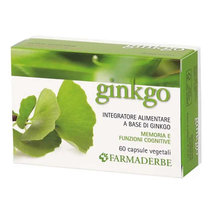 GINKGO BILOBA 60 CAPSULE