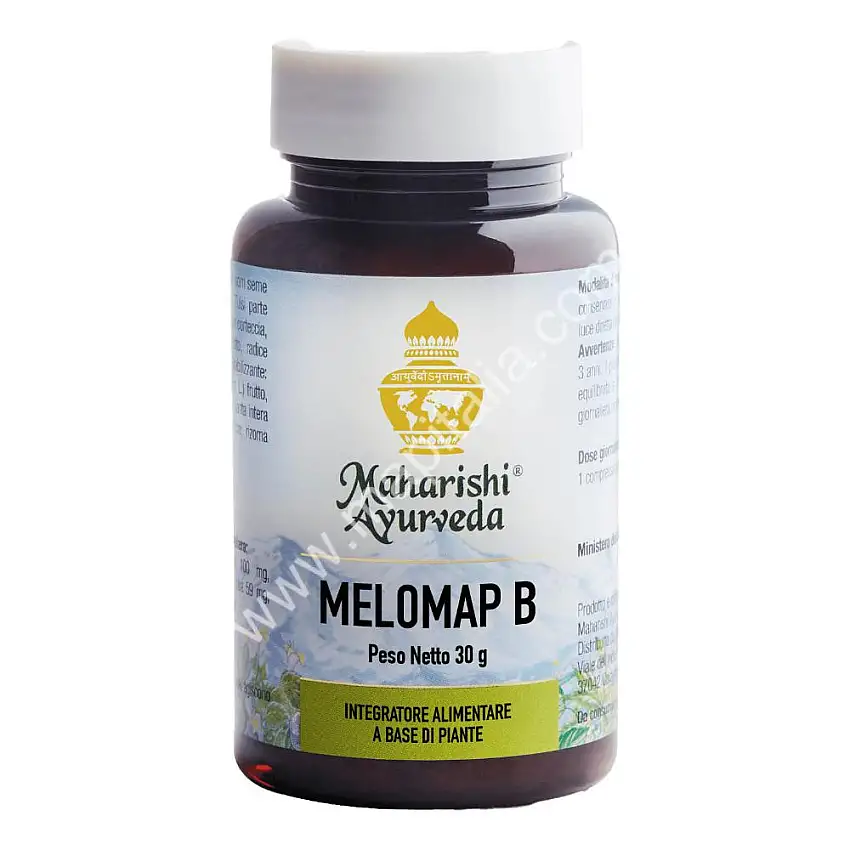 MELOMAP B POLVERE 30 G