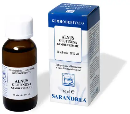 ALNUS GLUTINOSA 100 ML MACERATO GLICERICO
