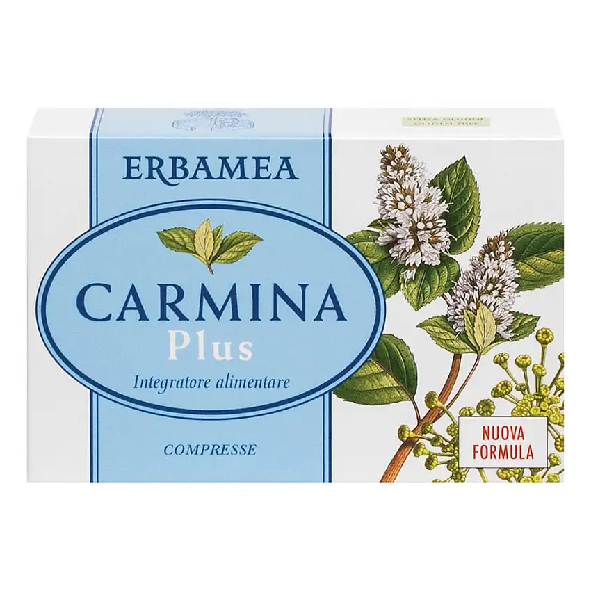 CARMINA PLUS 24 COMPRESSE 19,2 G