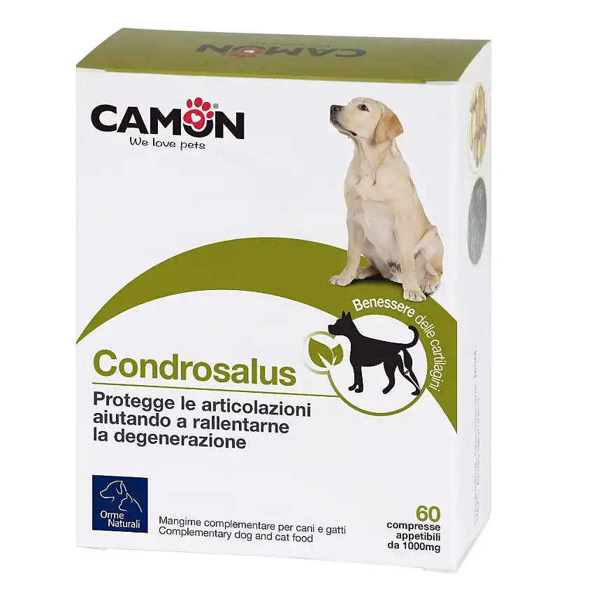 ORME NATURALI CONDROSALUS 60 COMPRESSE