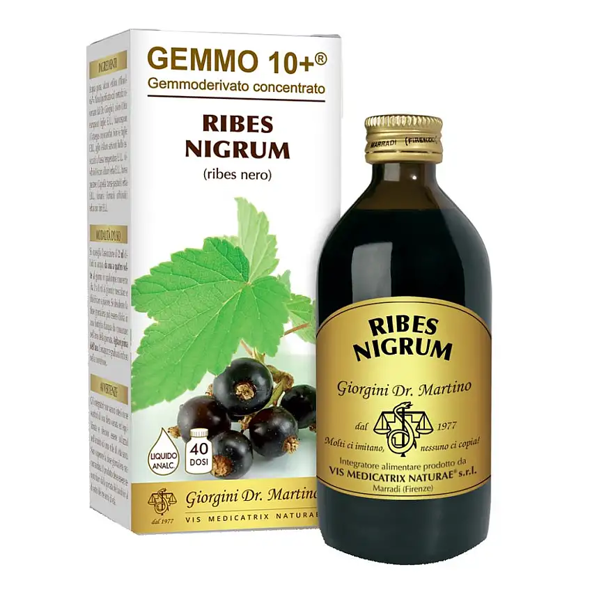 GEMMO 10+ RIBES NERO 200 ML LIQUIDO ANALCOLICO