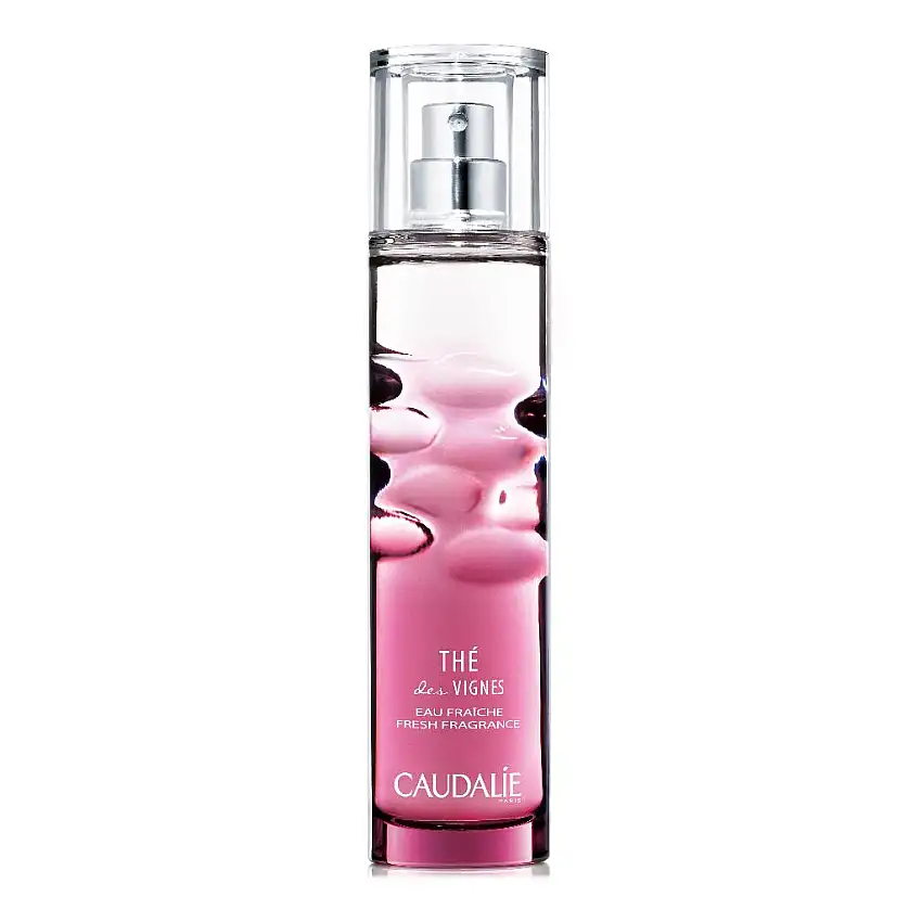 THE DES VIGNES ACQUA FRESCA 500 ML
