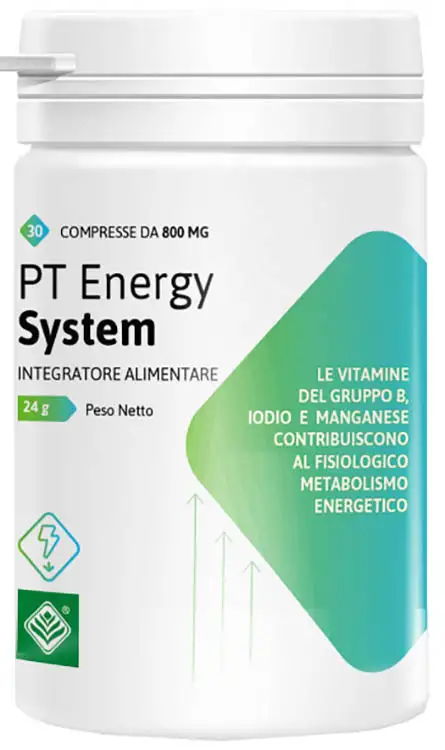 PT ENERGY SYSTEM 30 COMPRESSE