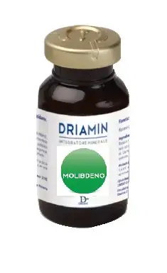 DRIAMIN MOLIBDENO 15 ML
