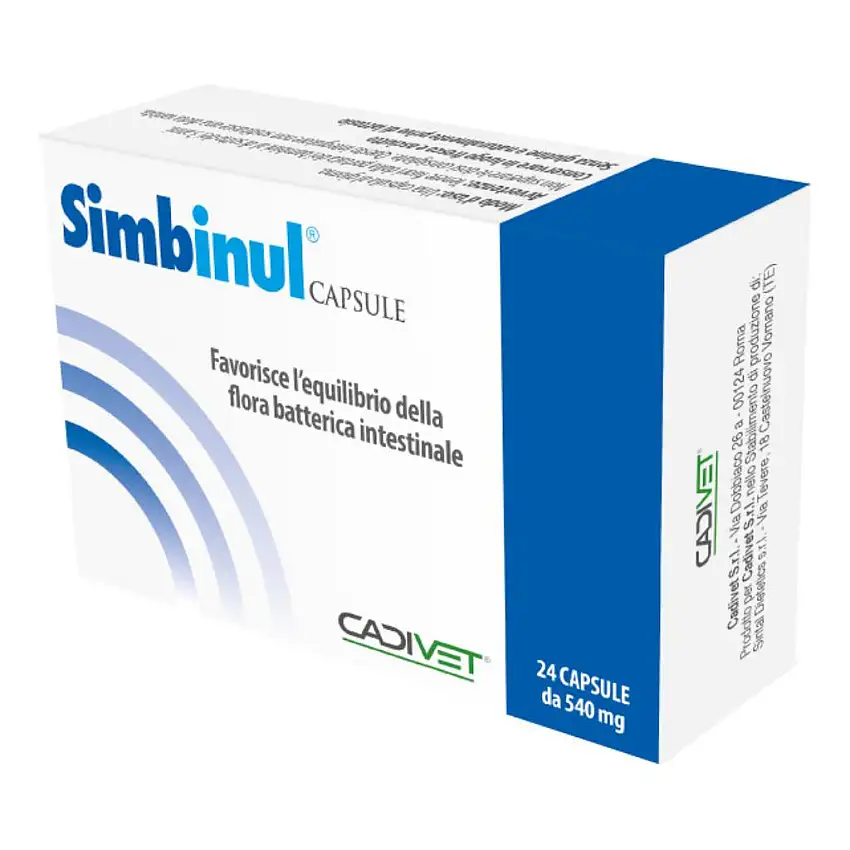 SIMBINUL 24 CAPSULE