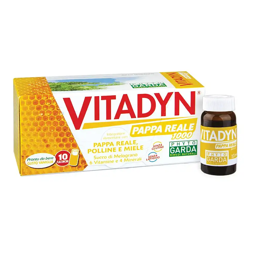 VITADYN PAPPA REALE 1000 10 FLACONCINI 10 ML