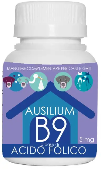AUSILIUM B9 VET ACIDO FOLICO 9 G