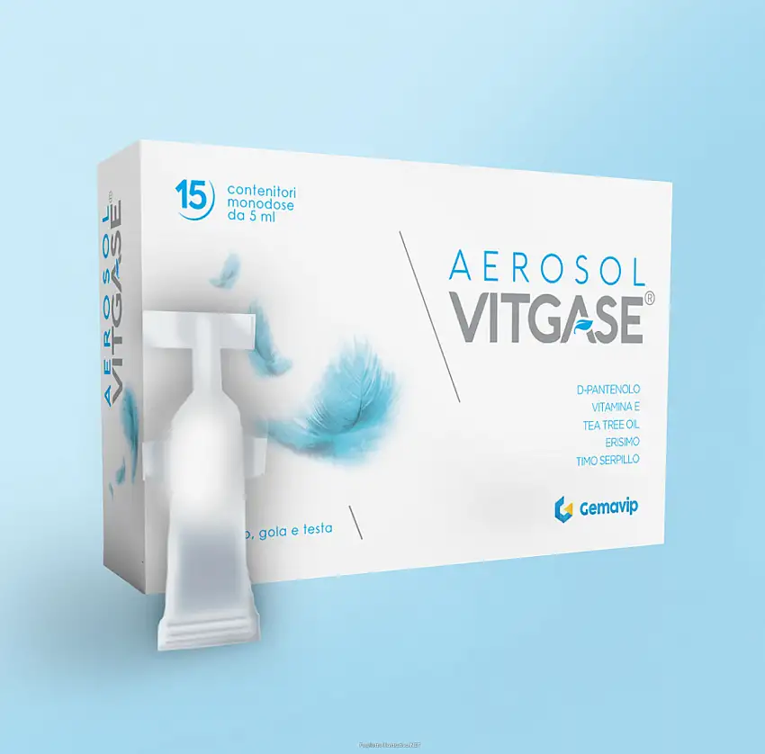 VITGASE AEROSOL 15 FLACONCINI 5 ML