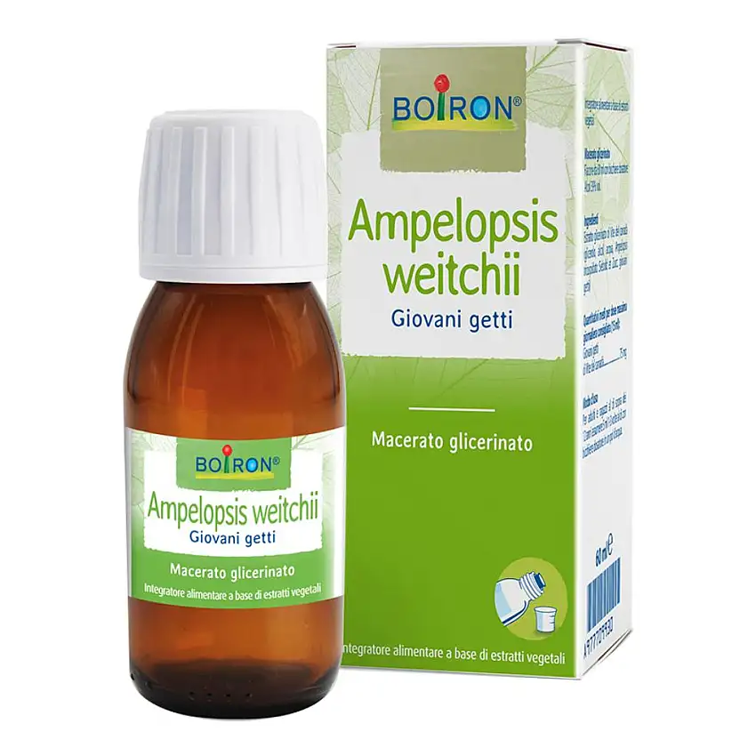AMPELOPSIS WESTRATTO IDROALCOLICO BOIRON MACERATO GLICERICO 60 ML