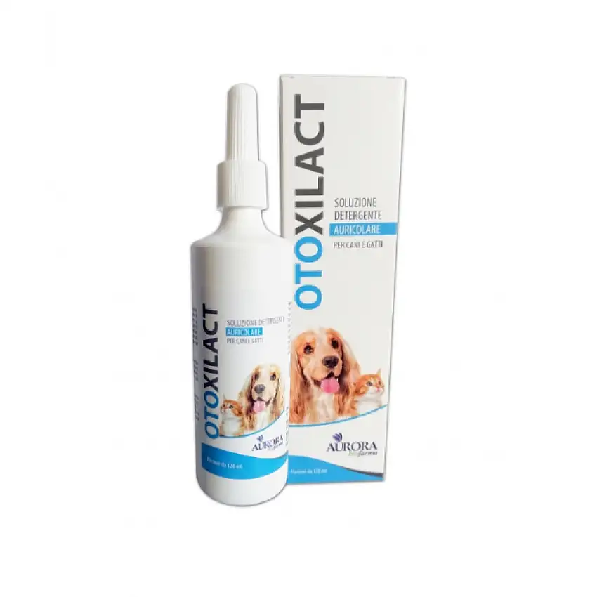 OTOXILACT DETERGENTE AURICOLARE