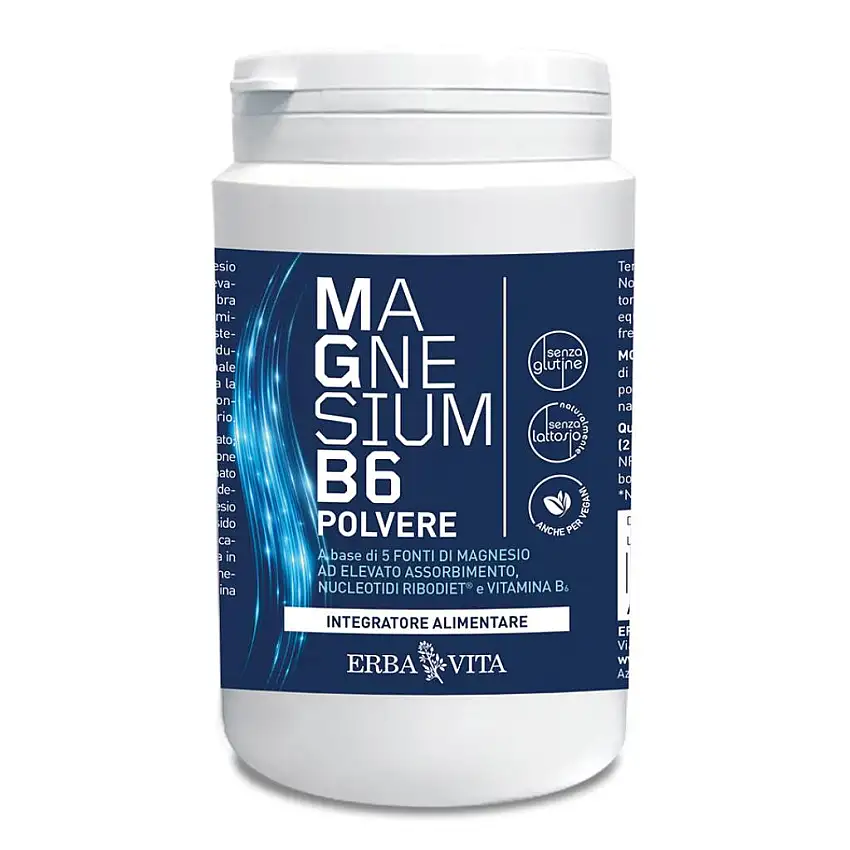 MAGNESIUM B6 POLVERE 200 G