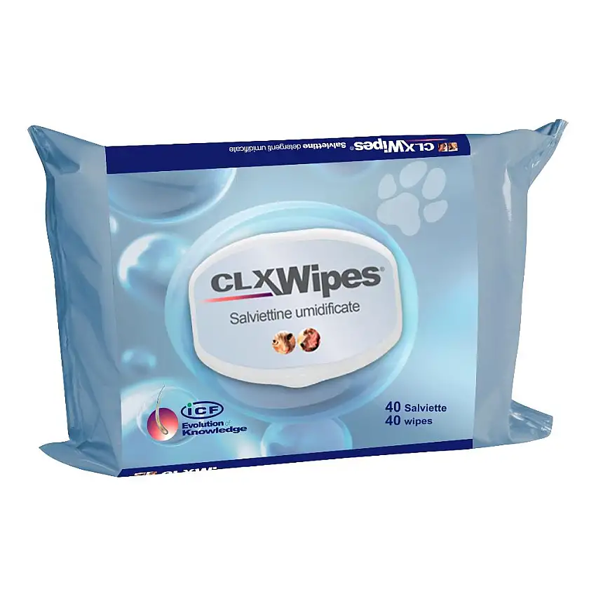 CLX WIPES 40 SALVIETTE