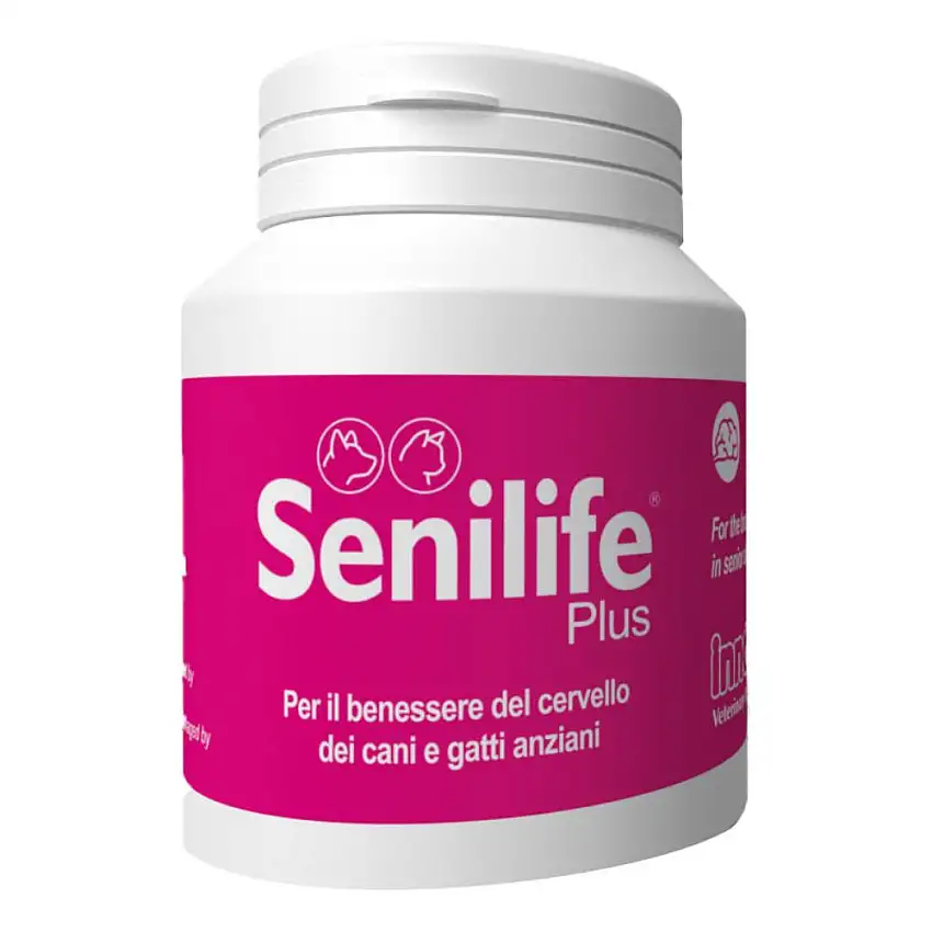 SENILIFE PLUS 60 CAPSULE