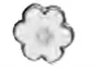 BJT219 ORECCHINI GLORIOSA WHITE STAINLESS STEEL