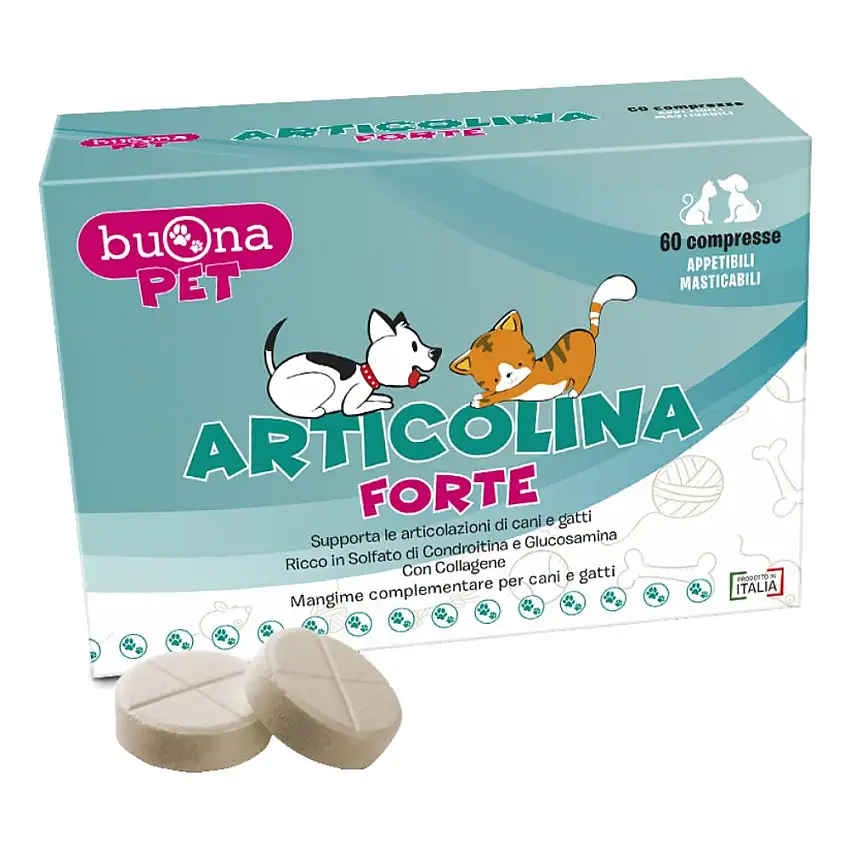 ARTICOLINA FORTE 60 COMPRESSE MASTICABILI