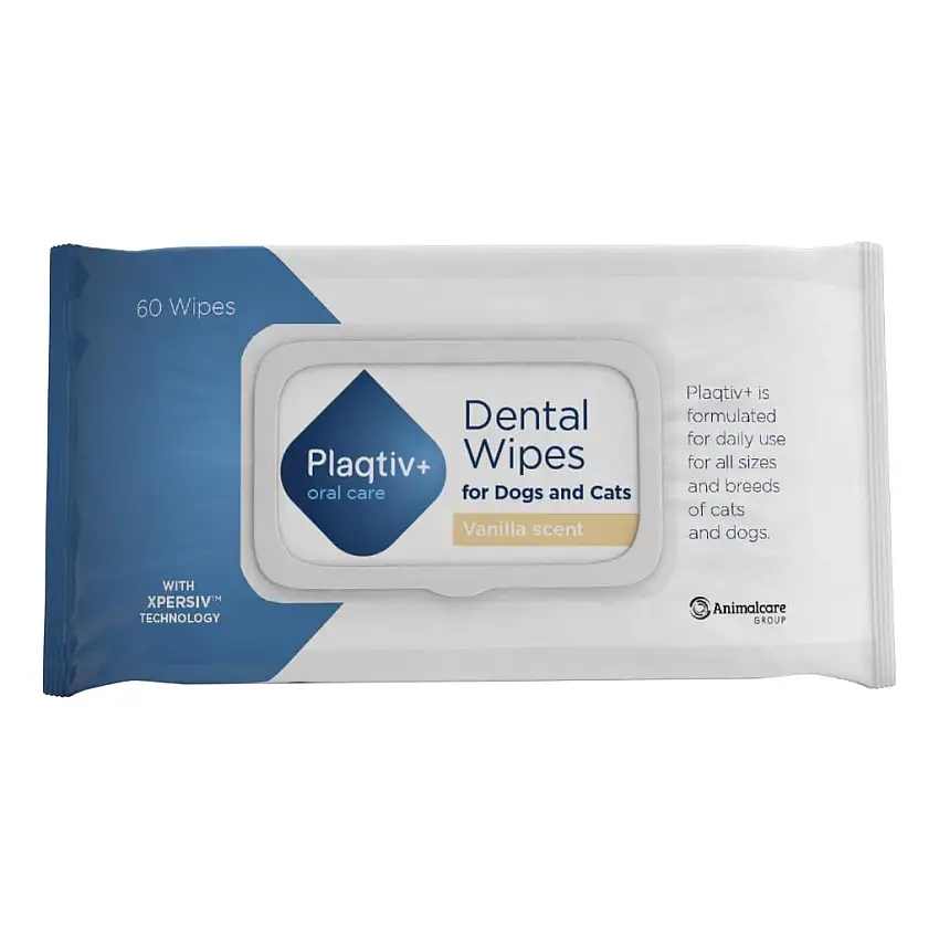 PLAQTIV+ ORAL CARE SALVIETTE DENTALI 60 PEZZI