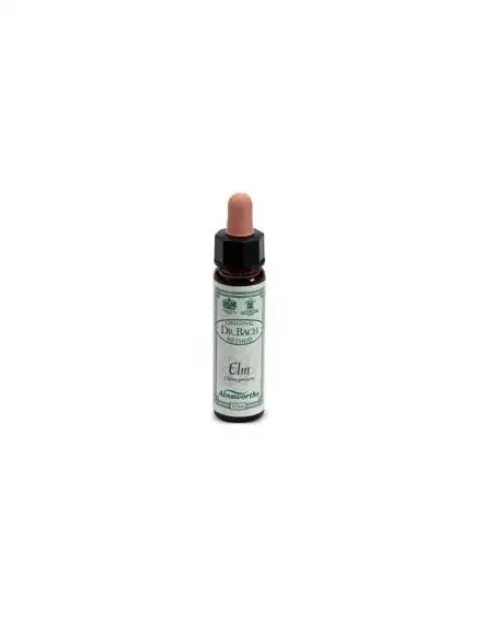 AINSWORTHS ELM 10ML