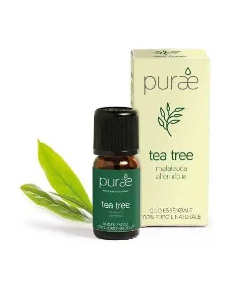 PURAE OE ALBERO TEA FGL