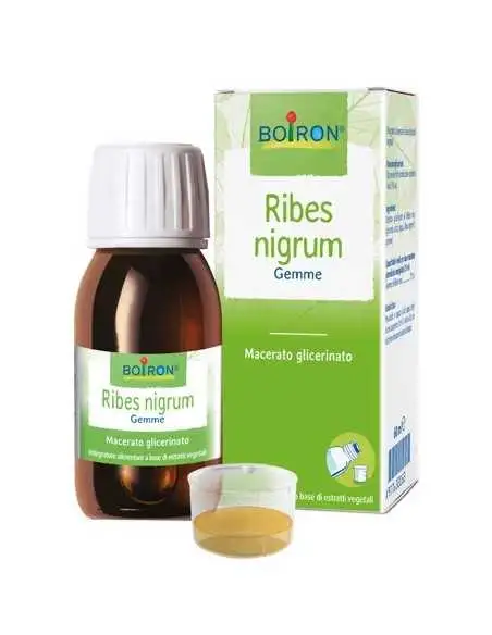 RIBES NIGRUM BOI MG 60ML INT