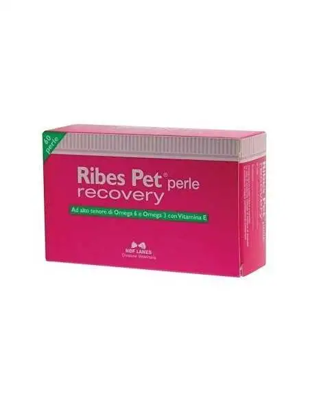 RIBES PET RECOVERY 60PRL